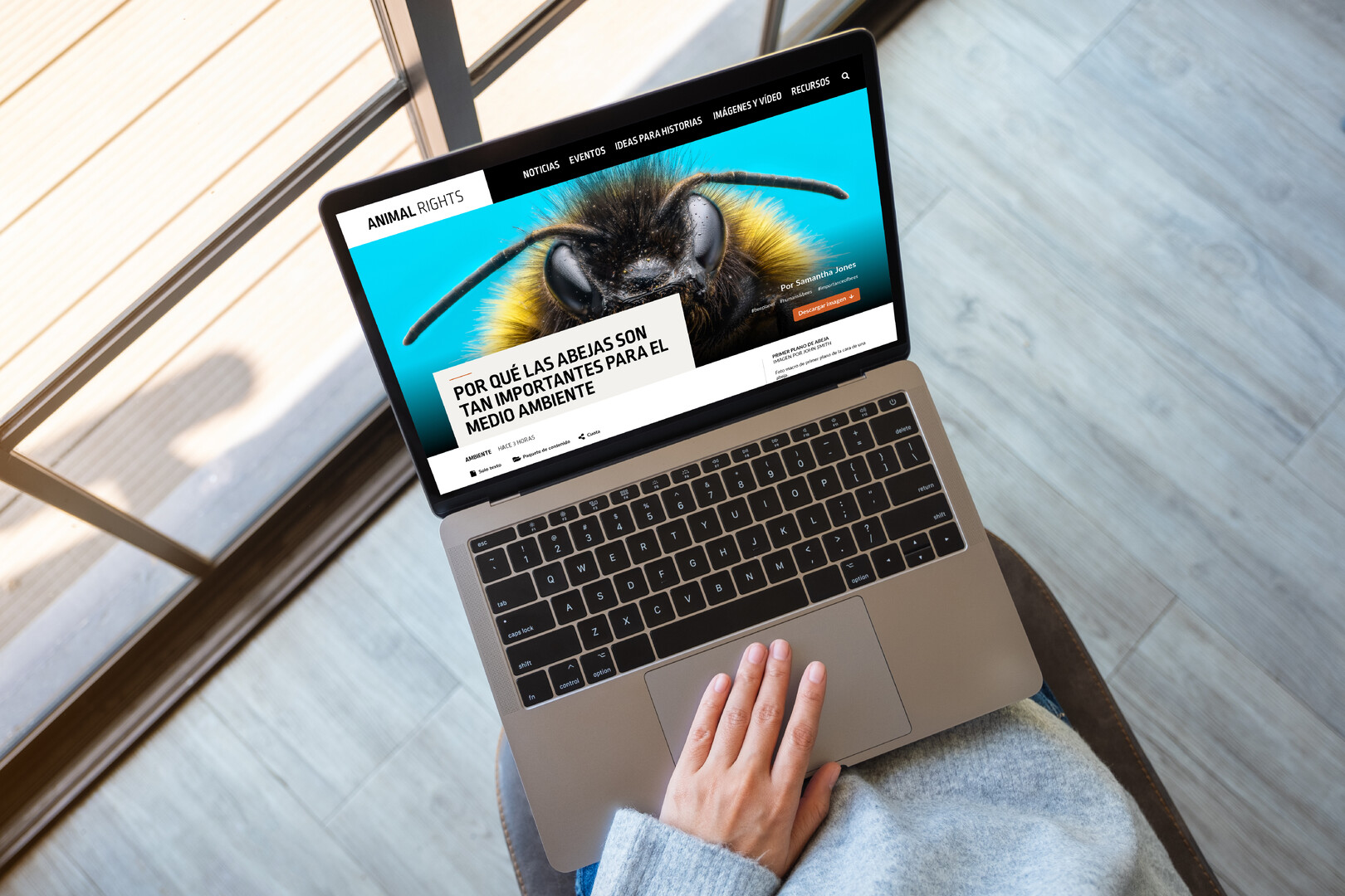 Lookatmedia™ Media Center